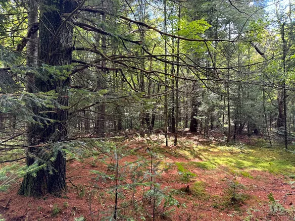 1.3 Farr Rd #3, Forestport, NY 13338
