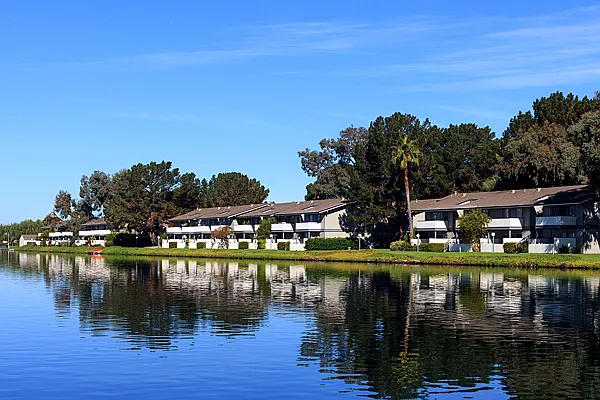 Sand Cove — Photo 4