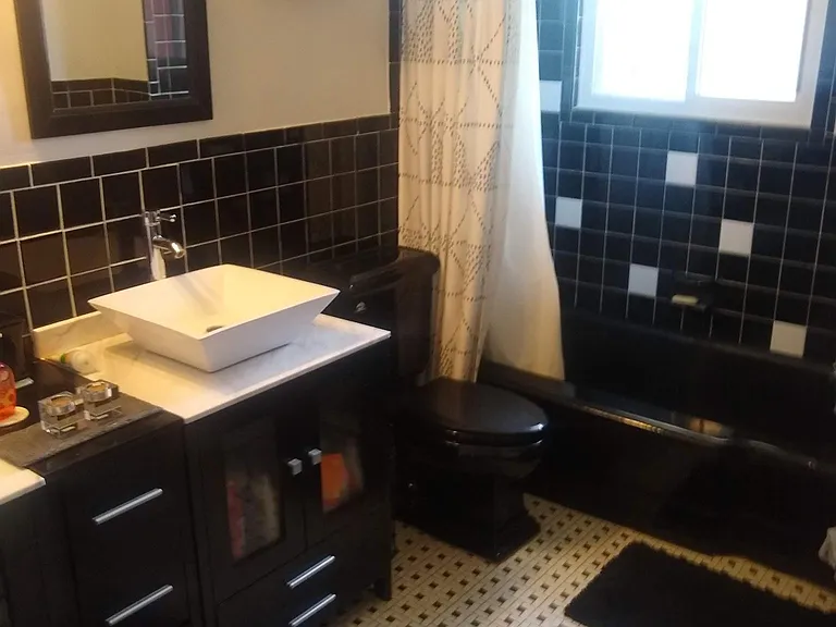 Second bathroom/guest bathroom