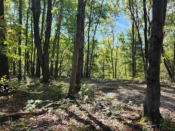 5th image of 999 Poplar Ridge Rd