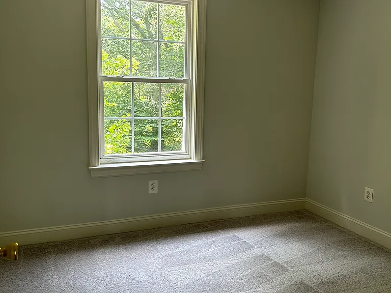8574 Horseshoe Rd — Photo 17
