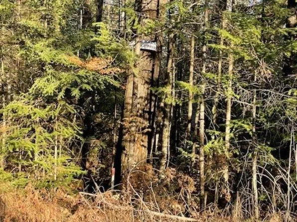 N8040 SWAMP ROAD, Tomahawk, WI 54487