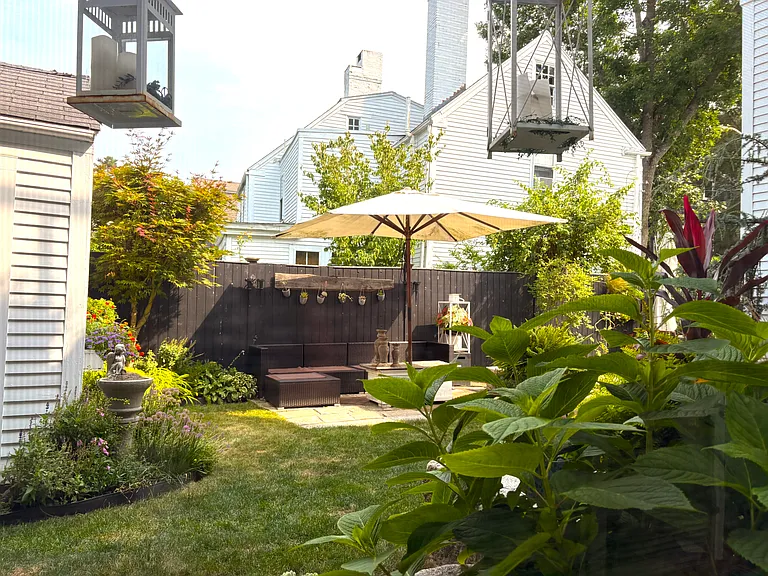 View of backyard from kitchen