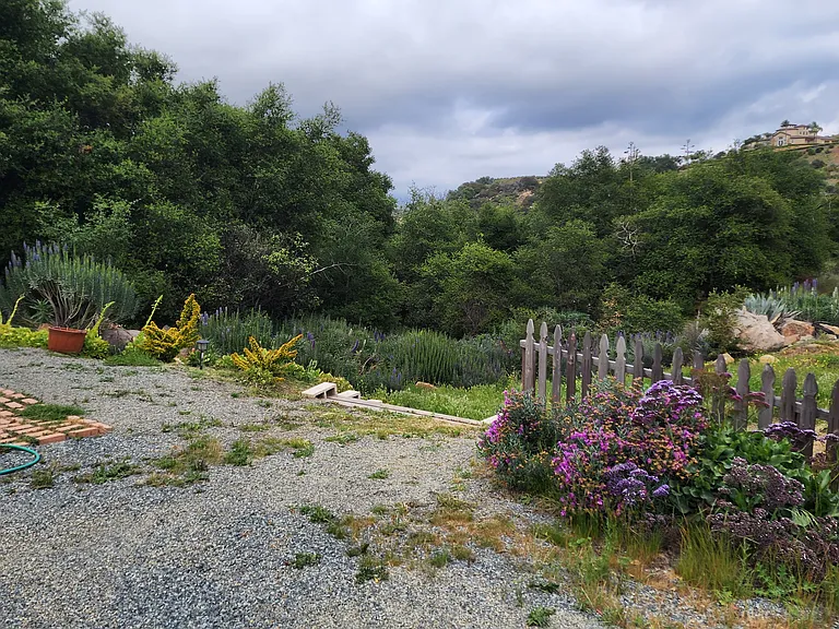 12410 Mirar De Valle — Photo 25