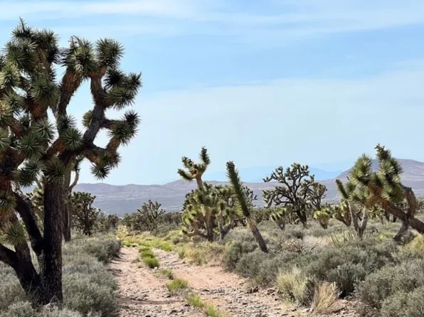 5 Shore Ave, Meadview, AZ 86444