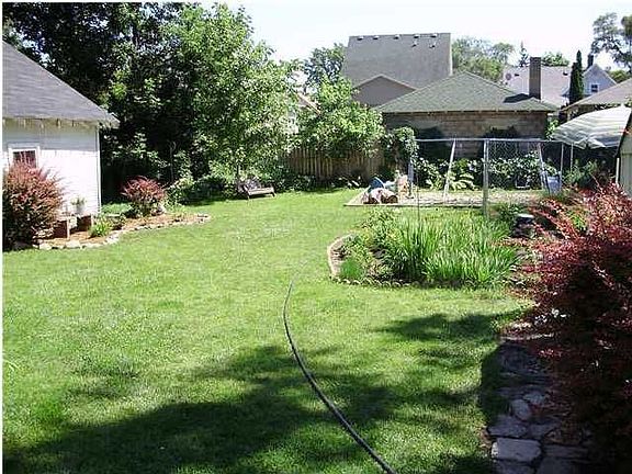 Great Backyard