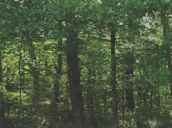 4575 Silver Lake Rd #0, Pinson, AL 35126