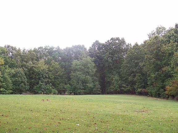 View from rear of home