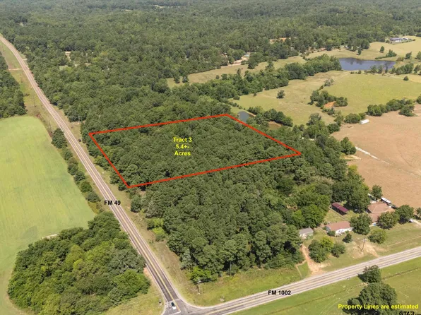 TRACT 3 Fm 49, Big Sandy, TX 75755