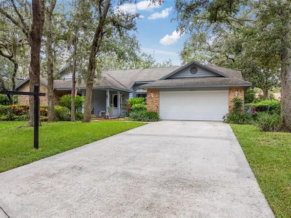 23730 Oakside Blvd, Lutz, FL 33559