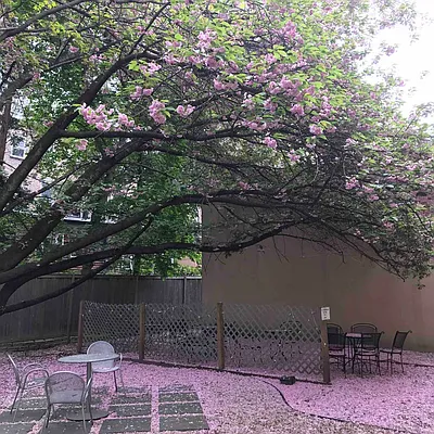 Rented by Owner | media 22