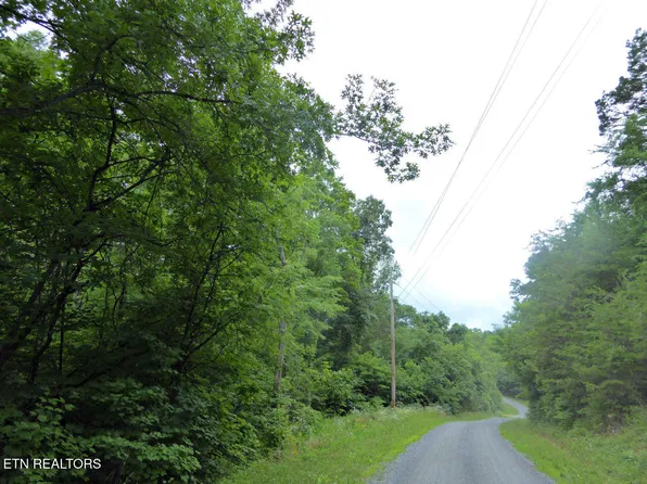 550 Spring Ln #551, White Pine, TN 37890