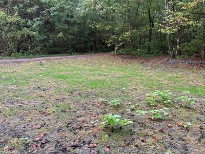 3350 Lower Pompey Rd, Shelbiana KY - Owner Finance Home