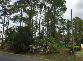 59 Westgrill Dr, Palm Coast, FL 32164