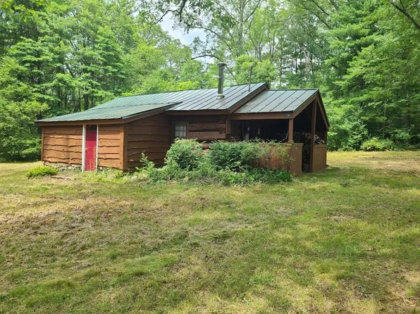 1597 W Woodland Park Dr, Bitely, MI 49309