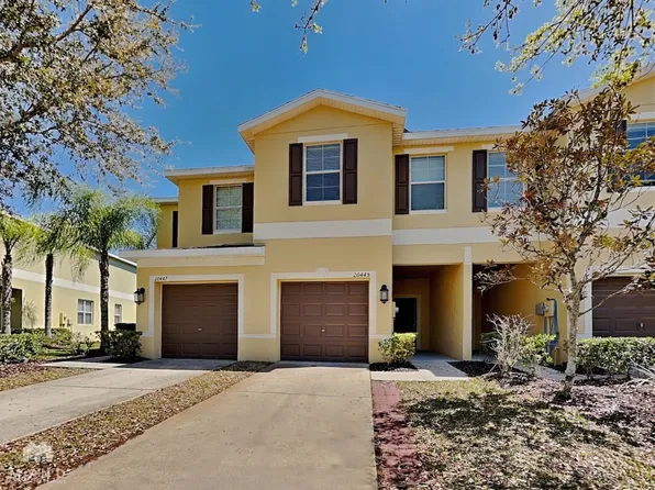 20445 Berrywood Ln, Tampa, FL 33647