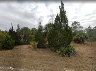 0 Rapidan Rd, Brooksville, FL 34614