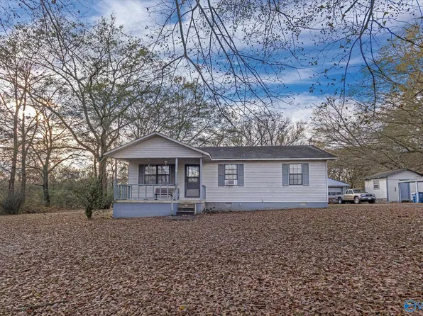 216 Lindsey Rd, Horton, AL 35980