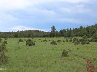9801 Porter Mountain Rd LOT 3-4, Lakeside, AZ 85929