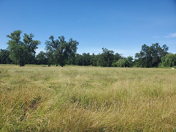 Pasture for your animals