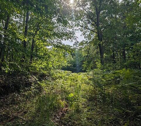 3rd image of V L N Weber Rd