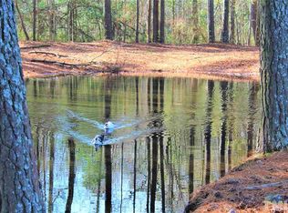 150 Happy Trails Dr, Angier, NC 27501