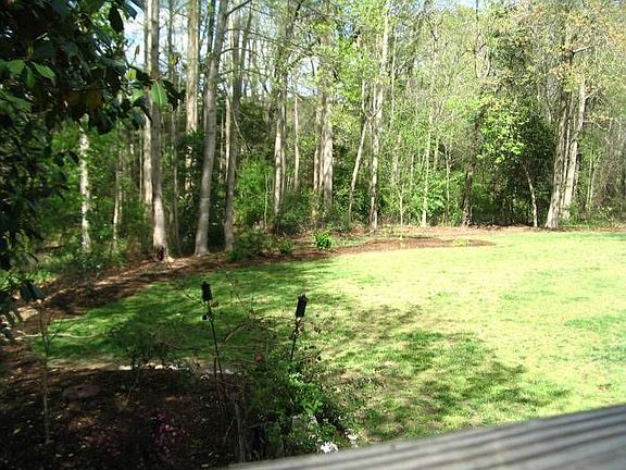 Large flat back yard