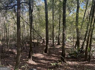 0 Sand Hammock Rd, Hawkinsville, GA 31036