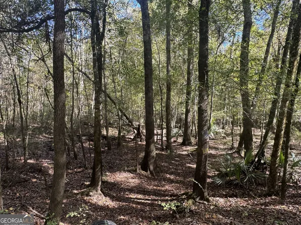 0 Sand Hammock Rd, Hawkinsville, GA 31036