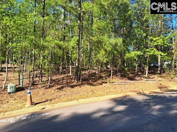 512 Links Pointe Ct, Chapin, SC 29036