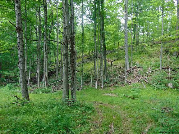 2nd image of 0 MACE Road