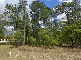 2877 W Pine Ridge Blvd, Beverly Hills, FL 34465