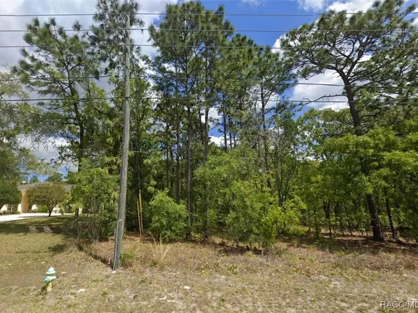 2877 W Pine Ridge Blvd, Beverly Hills, FL 34465