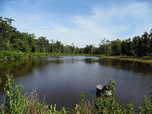 1st image of 1675 County Road 261