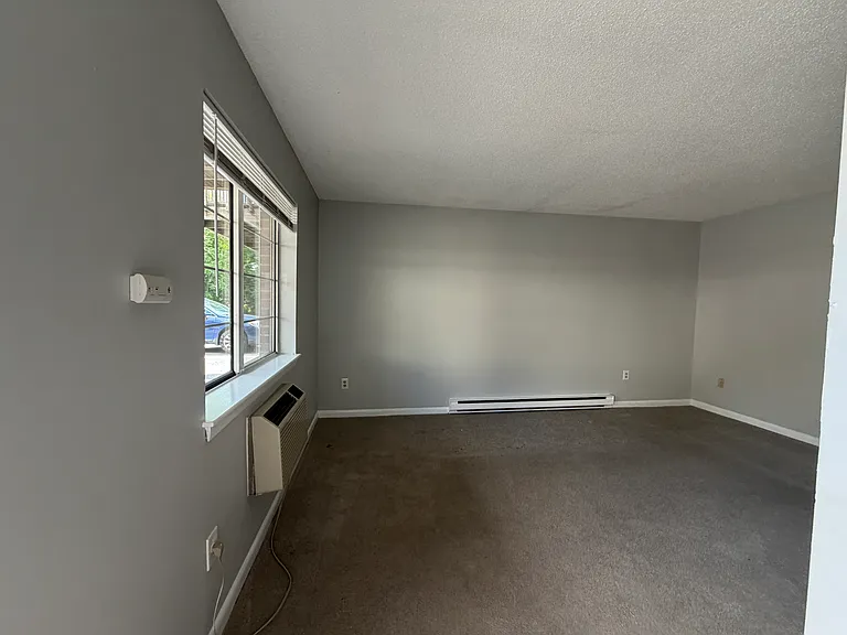 41 Dunbar St #2A — Photo 13