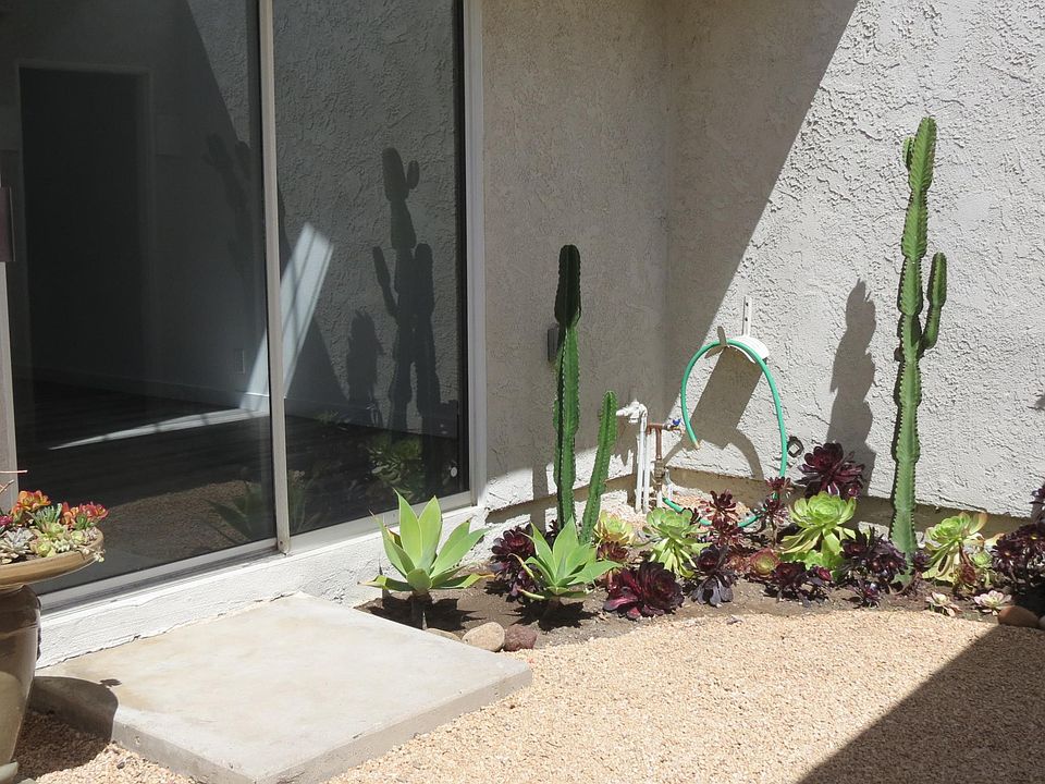 front yard outside living room sliders