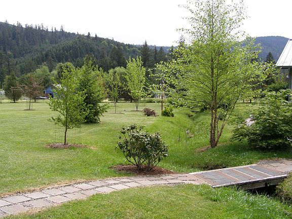 Looking South along brook