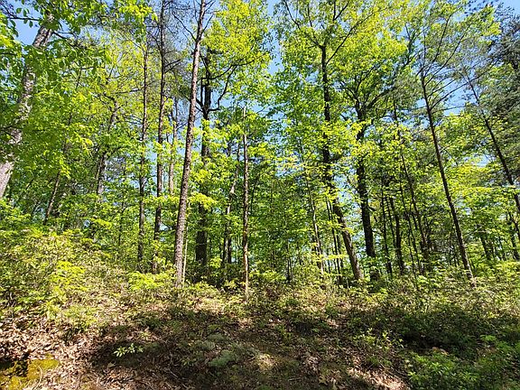 2nd image of 37 Chinquapin Dr #37A