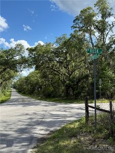 132 S Thayer Ave, Lecanto, FL, 34461