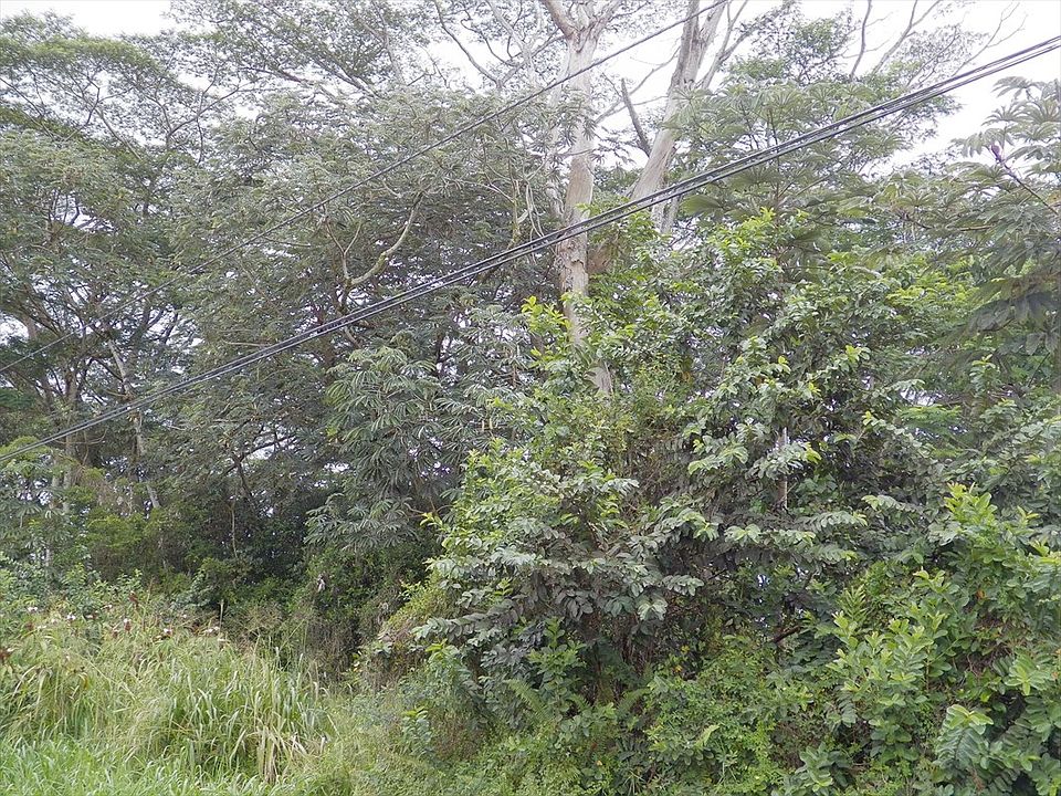 2nd image of 12th Ave Lot 1346