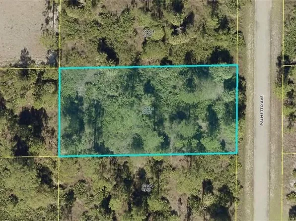 1313 Palmetto AVE, LEHIGH ACRES, FL 33972