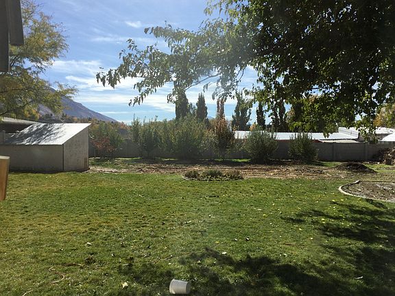 Huge fenced backyard, garden