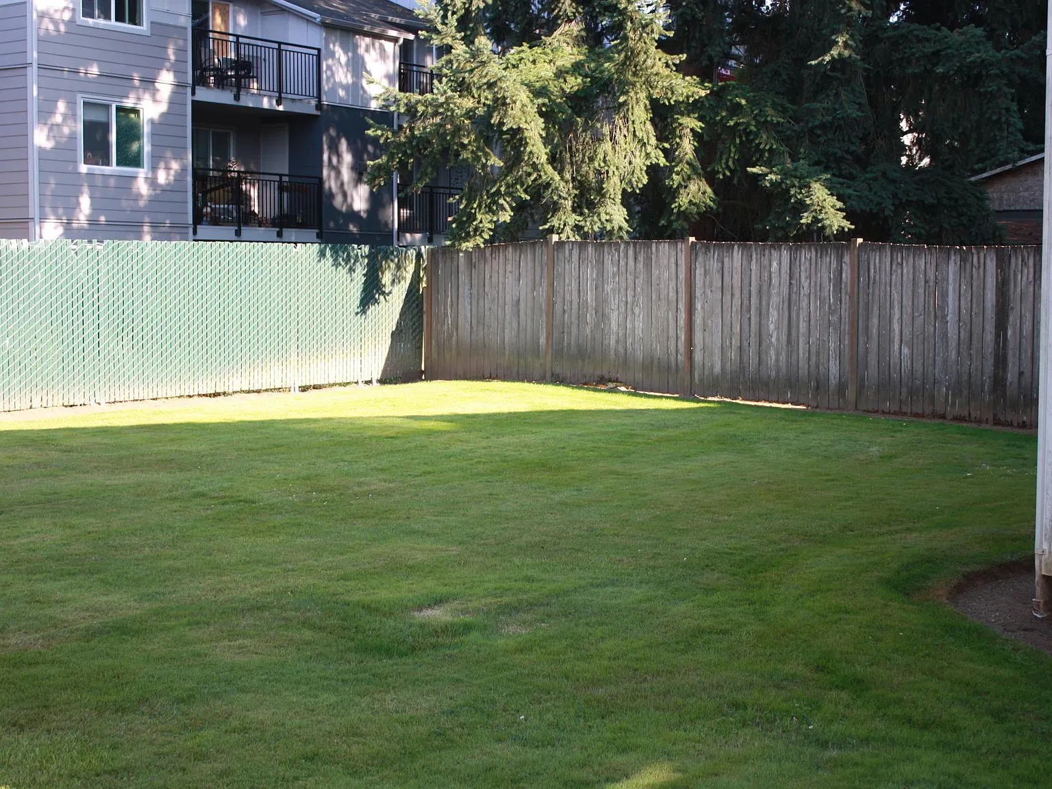 3 bed, 2.5 bath, 1250 sqft, $2,450 — Photo 2