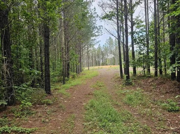 2063 Wedgewood Dr, Linden, TN 37096