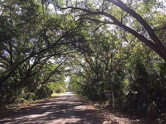 Beautiful Oak Canopy