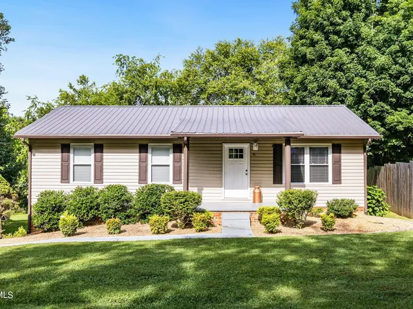 41 Springview Dr, Afton, TN 37616