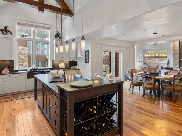 398 S Davis St #C-301, Telluride, CO 81435