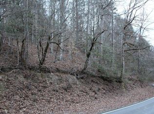 0 Pearl Valley Rd PARCEL 58.00, Sevierville, TN 37876