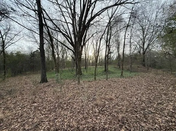 Macon Rd Lot 1, Eads, TN 38028