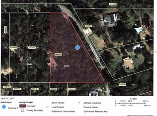 25436 Fishermans Rd, Paisley, FL 32767